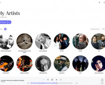 Roon 1.8 07 Artists
